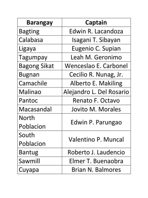 list of barangay captains in san jose city, nueva ecija